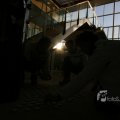 IMG_398787