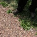 IMG_400071