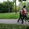 IMG_404239