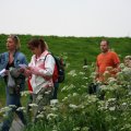 IMG_407682