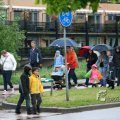 IMG_410439