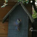 IMG_416581