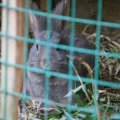 IMG_416611