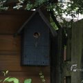IMG_416638