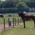 IMG_415497