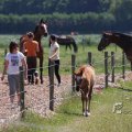 IMG_415506