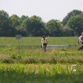 IMG_415662