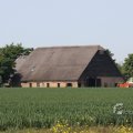 IMG_415676