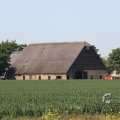 IMG_415677