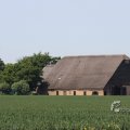 IMG_415679