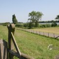 IMG_415837