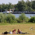 IMG_415843