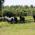 IMG_416288