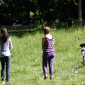 IMG_416377