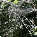 IMG_416380