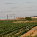 IMG_418087