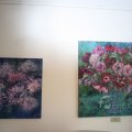 IMG_423731