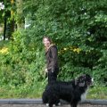 IMG_423845