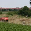 IMG_423883