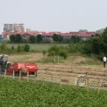 IMG_423886