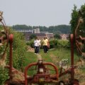 IMG_423896