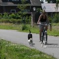 IMG_423971