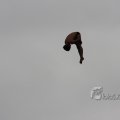 IMG_425683
