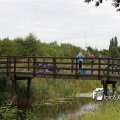 IMG_462671