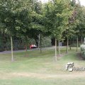 IMG_462680