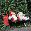 IMG_462684