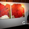 IMG_463949