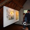 IMG_463956