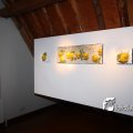 IMG_463966