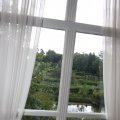 IMG_463985