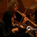 IMG_471286