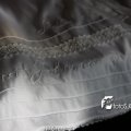 IMG_468433