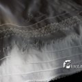 IMG_468434