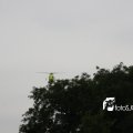 IMG_472987