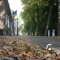 IMG_473126