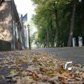IMG_473129