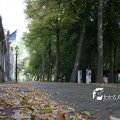 IMG_473133