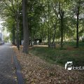 IMG_473307
