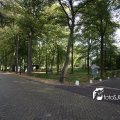 IMG_473310