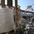 IMG_473863