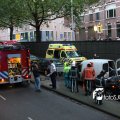 IMG_478175