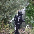 IMG_482219