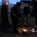 IMG_515166