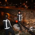 IMG_516229