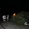 IMG_516312