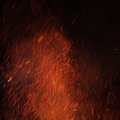 IMG_516355